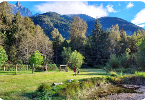 Screen Shot 2026-04-20 at 7.56.54 AM